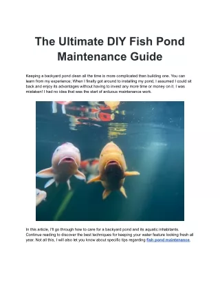 The Ultimate DIY Fish Pond Maintenance Guide