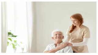What are the services delivered by Senior Care New York