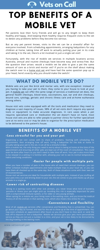 Top Benefits Of A Mobile Vet