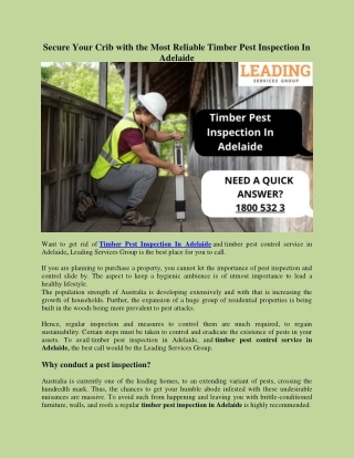 Secure Your Crib with the Most Reliable Timber Pest Inspection In Adelaide