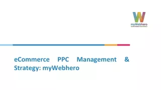 ecommerce ppc management strategy mywebhero