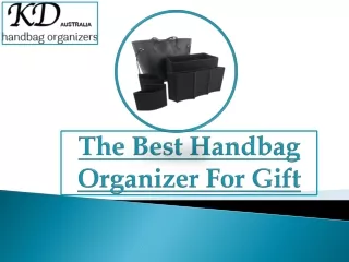 Best Handbag Organizer For Gift