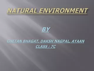 natural environment