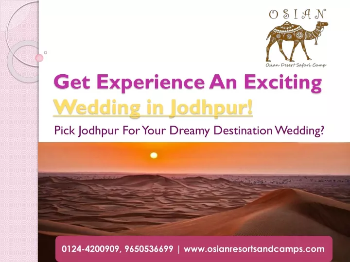 get experience an exciting wedding in jodhpur