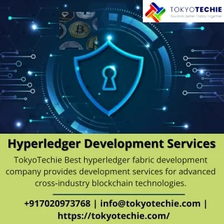 Hyperledger Development Services