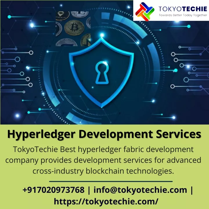 hyperledger development services hyperledger