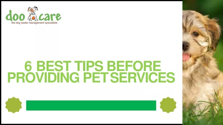 6 best tips before providing pet services