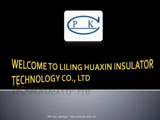 Transmission Line Insulators, Porcelain Pin Insulator at pk-tkbl.com