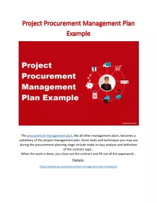 Project Procurement Management Plan Example