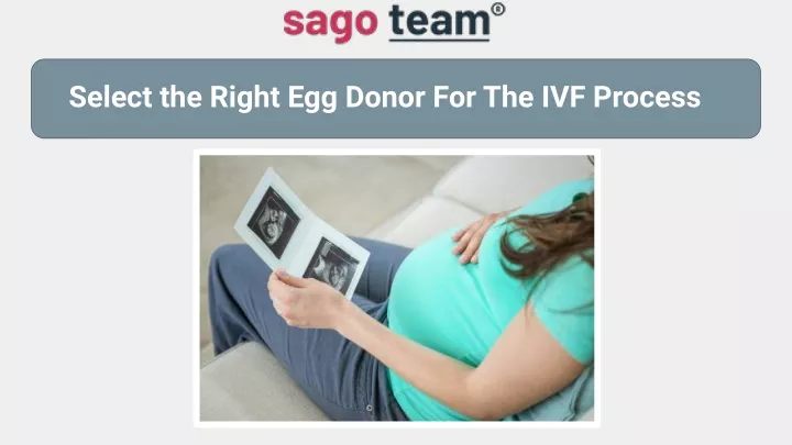 select the right egg donor for the ivf process