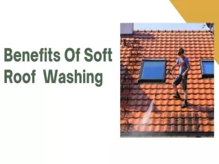 Benefits of Soft Roof Washing