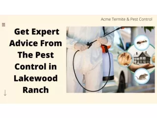 Get Expert Advice From The Pest Control in Lakewood Ranch.