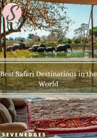 best safari destinations in the world