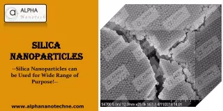 silica nanoparticles