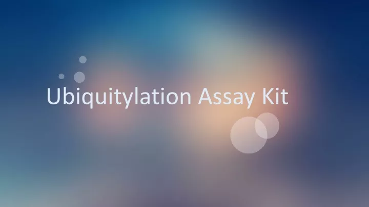 ubiquitylation assay kit