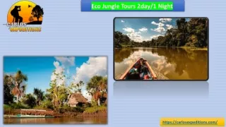 Eco Jungle Tours 2day1 Night