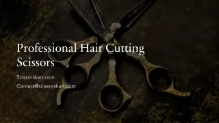 Daniel Professional Hair Cutting Scissors