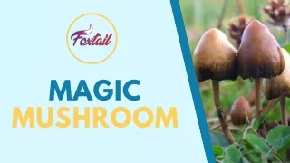 Why Making Love On Magic Mushroom Is Thrilling