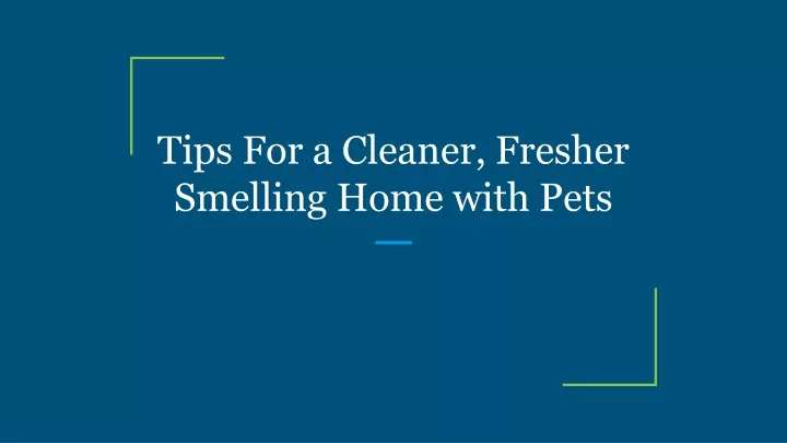 tips for a cleaner fresher smelling home with pets