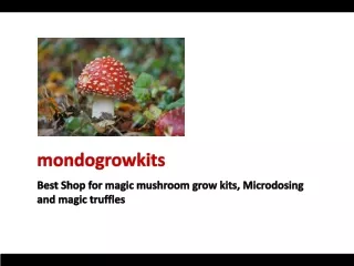 Best Shop for magic mushroom grow kits, Microdosing and magic truffles