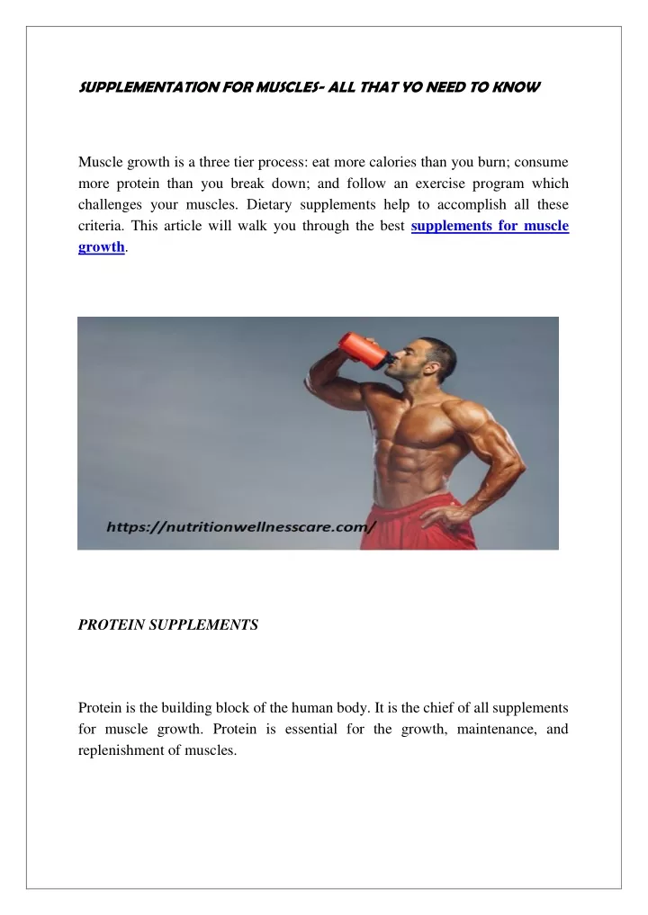 supplementation for muscles all that yo need