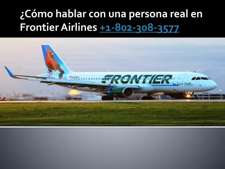 c mo hablar con una persona real en frontier airlines 1 802 308 3577