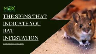 The Signs That Indicate You Rat Infestation