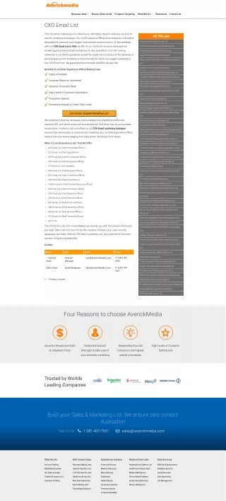 CXO Email List