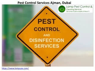 pest control services ajman dubai