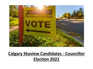 Calgary Skyview Candidates - Councillor Election 2021