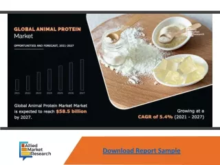 Animal Protein Market Analysis, Key Company Profiles, Types, Applications