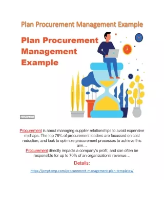 Plan Procurement Management Example