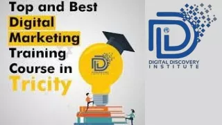 DIGITAL DISCOVERY INSTITUTE (1)