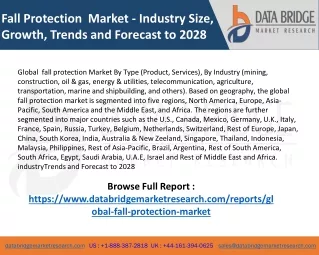 Market Analysis and Insights: Global Fall Protection Market