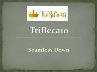 tribeca10