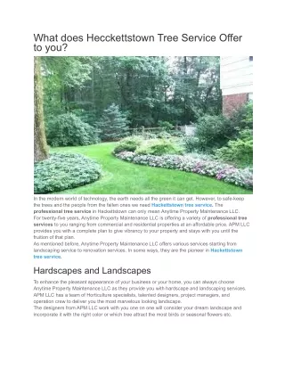 what does hecckettstown tree service offer to you