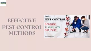 Pest Control Companies In Ambala