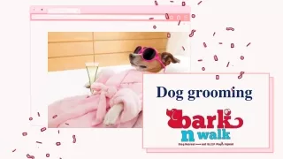 Get Professional Dog Grooming Services in Delhi NCR Today
