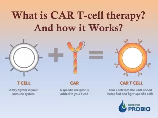 what is car t cell therapy and how it works