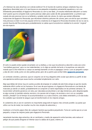 El mejor articulo sobre el agapornis personata - Articulo numero: 8828 - 8859