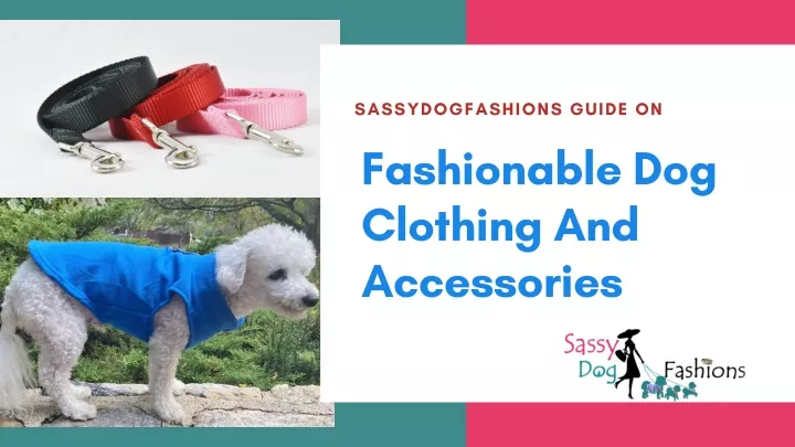 sassydogfashions guide on