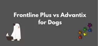 frontline plus vs advantix for dogs