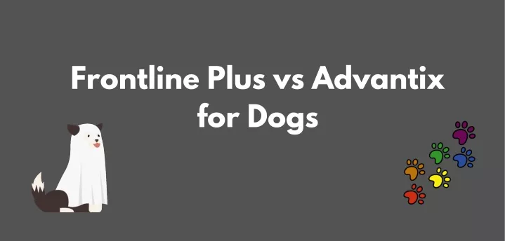 frontline plus vs advantix for dogs