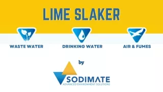 Lime Slaker System