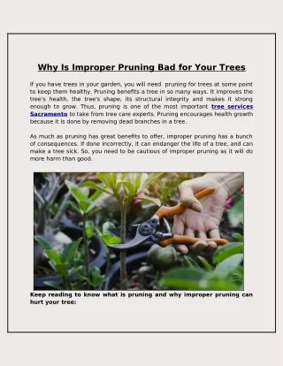 why is improper pruning bad for your trees