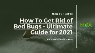 How To Get Rid of Bed Bugs - Ultimate Guide for 2021