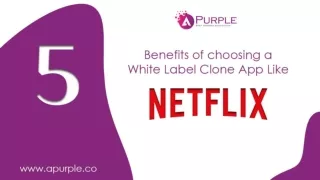5 Benefits of choosing a White Label Clone App Like Netflix