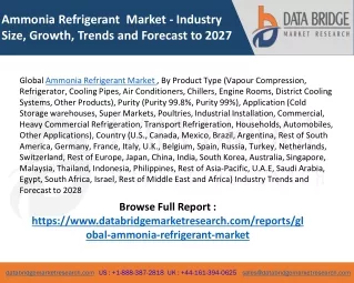 Ammonia Refrigerant Market