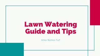 Lawn Watering Guide and Tips