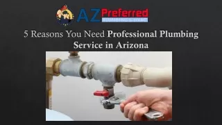 5 Reasons You Need Professional Plumbing Service in Arizona.